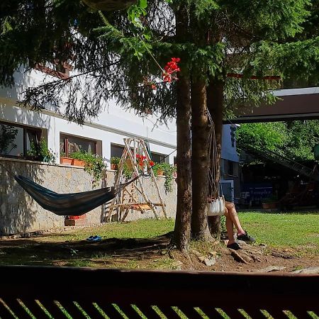 Randunica Hotel Valiug Luaran gambar