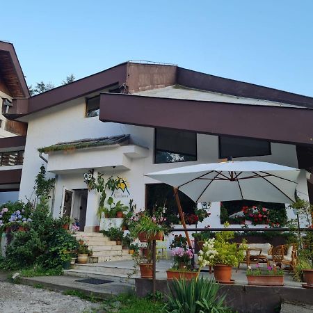 Randunica Hotel Valiug Luaran gambar