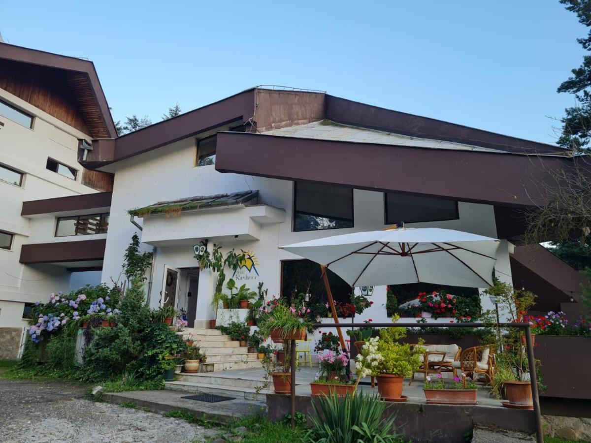 Randunica Hotel Valiug Luaran gambar